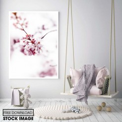 Selective Focus Photo of Cherry Blossom  thum